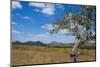Chongoni Rock-Art Area, Malawi, Africa-Michael Runkel-Mounted Photographic Print
