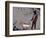 Choose the dog-Banksy-Framed Giclee Print