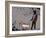 Choose the dog-Banksy-Framed Giclee Print