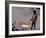 Choose the dog-Banksy-Framed Giclee Print