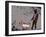 Choose the dog-Banksy-Framed Giclee Print