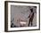 Choose the dog-Banksy-Framed Premium Giclee Print