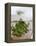 Chopping Chives-null-Framed Premier Image Canvas