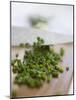 Chopping Chives-null-Mounted Photographic Print