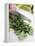 Chopping Parsley-null-Framed Premier Image Canvas