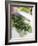 Chopping Parsley-null-Framed Photographic Print