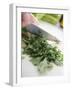 Chopping Parsley-null-Framed Photographic Print