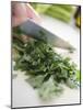 Chopping Parsley-null-Mounted Photographic Print
