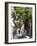 Chora, Mykonos, Cyclades, Greek Islands, Greece, Europe-Angelo Cavalli-Framed Photographic Print