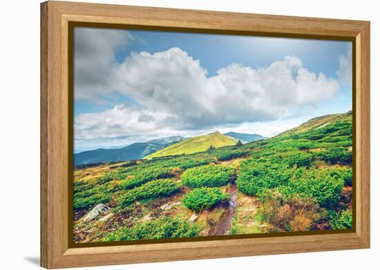 Chorna Hora Mountain Range. Carpathian Mountains. Ukraine-goinyk-Framed Premier Image Canvas