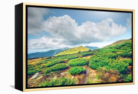 Chorna Hora Mountain Range. Carpathian Mountains. Ukraine-goinyk-Framed Premier Image Canvas