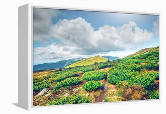 Chorna Hora Mountain Range. Carpathian Mountains. Ukraine-goinyk-Framed Premier Image Canvas