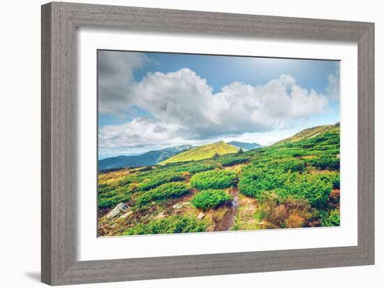 Chorna Hora Mountain Range. Carpathian Mountains. Ukraine-goinyk-Framed Photographic Print