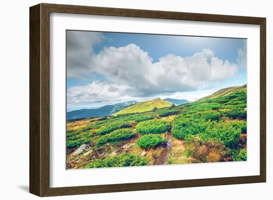 Chorna Hora Mountain Range. Carpathian Mountains. Ukraine-goinyk-Framed Photographic Print