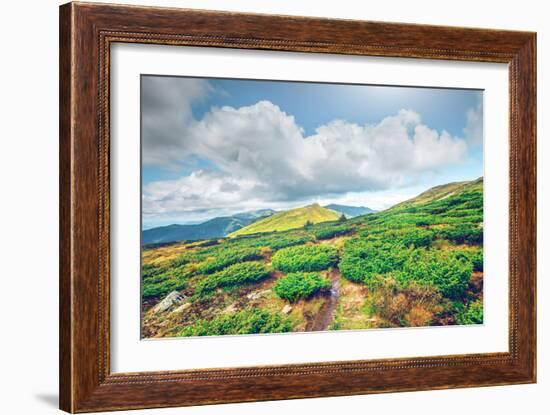 Chorna Hora Mountain Range. Carpathian Mountains. Ukraine-goinyk-Framed Photographic Print