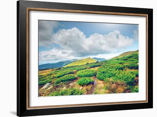 Chorna Hora Mountain Range. Carpathian Mountains. Ukraine-goinyk-Framed Photographic Print