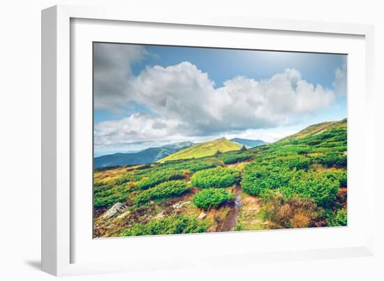 Chorna Hora Mountain Range. Carpathian Mountains. Ukraine-goinyk-Framed Photographic Print