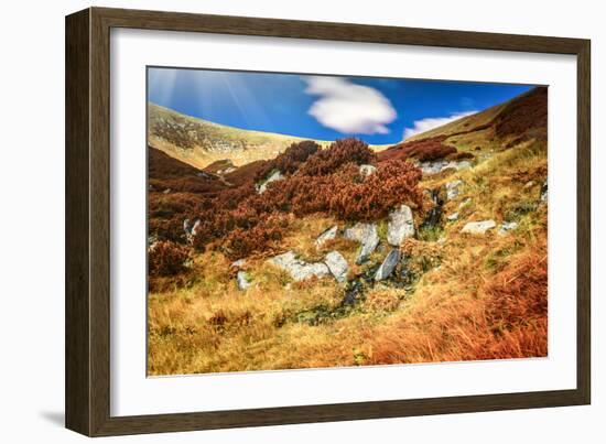 Chorna Hora Mountain Range. Carpathian Mountains. Ukraine-goinyk-Framed Photographic Print