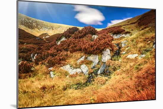 Chorna Hora Mountain Range. Carpathian Mountains. Ukraine-goinyk-Mounted Photographic Print