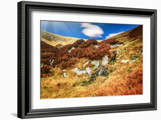 Chorna Hora Mountain Range. Carpathian Mountains. Ukraine-goinyk-Framed Photographic Print