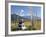 Chorten and Prayer Flags in the Punakha Valley Near Chimi Lhakhang Temple, Punakha, Bhutan, Himalay-Lee Frost-Framed Photographic Print