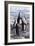 Chorus Chinstrap Penguins-Jeremy Paul-Framed Giclee Print