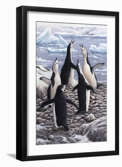 Chorus Chinstrap Penguins-Jeremy Paul-Framed Giclee Print