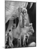 Chorus Girl Standing on Horse's Back During Filming of the Movie "The Ziegfeld Follies"-John Florea-Mounted Photographic Print