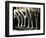 Chorus Girls' Legs-Bettmann-Framed Photographic Print