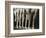 Chorus Girls Lining Up Showing Legs-Bettmann-Framed Photographic Print