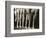 Chorus Girls Lining Up Showing Legs-Bettmann-Framed Photographic Print