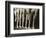 Chorus Girls Lining Up Showing Legs-Bettmann-Framed Photographic Print