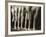 Chorus Girls Lining Up Showing Legs-Bettmann-Framed Photographic Print