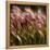 Chorus of Beauty Unnoticed-Steven Maxx-Framed Premier Image Canvas