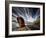 Chosen Place-Þorsteinn H. Ingibergsson-Framed Photographic Print