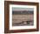 Chott El Jerid, Flat Dry Salt Lake Between Tozeur and Kebili, Tunisia, North Africa, Africa-Dallas & John Heaton-Framed Photographic Print