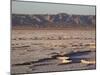 Chott El Jerid, Flat Dry Salt Lake Between Tozeur and Kebili, Tunisia, North Africa, Africa-Dallas & John Heaton-Mounted Photographic Print