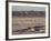 Chott El Jerid, Flat Dry Salt Lake Between Tozeur and Kebili, Tunisia, North Africa, Africa-Dallas & John Heaton-Framed Photographic Print