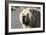 Chow Chow 11-Bob Langrish-Framed Photographic Print