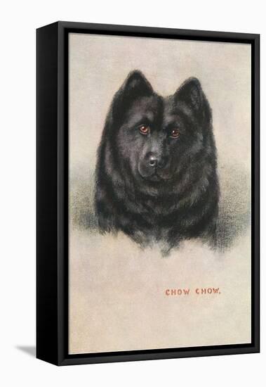 Chow Chow-null-Framed Stretched Canvas