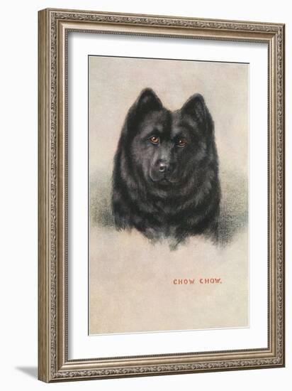 Chow Chow-null-Framed Art Print