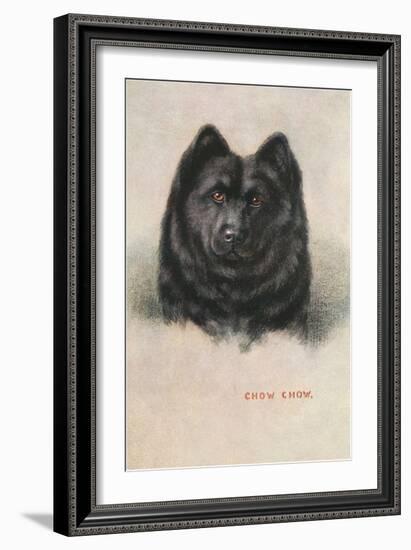 Chow Chow-null-Framed Art Print