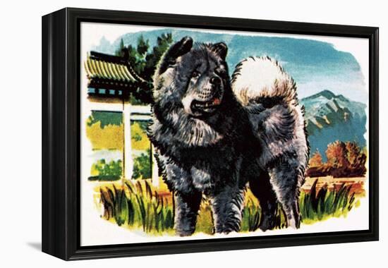 Chow-Chow-English School-Framed Premier Image Canvas