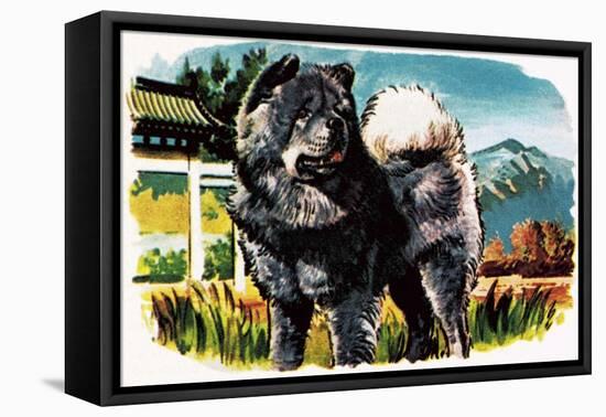 Chow-Chow-English School-Framed Premier Image Canvas