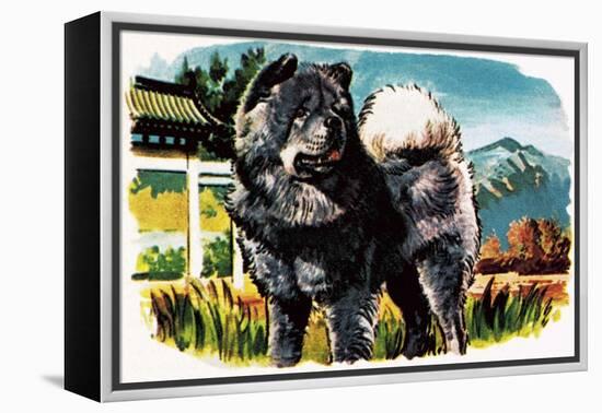 Chow-Chow-English School-Framed Premier Image Canvas