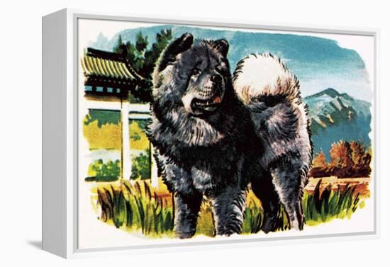 Chow-Chow-English School-Framed Premier Image Canvas