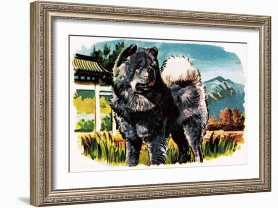 Chow-Chow-English School-Framed Giclee Print