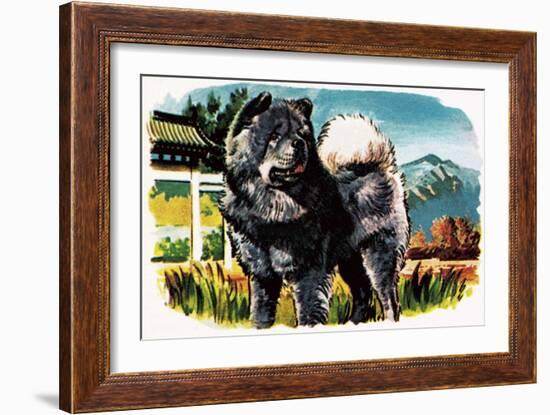 Chow-Chow-English School-Framed Giclee Print