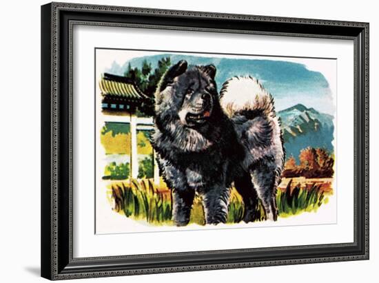 Chow-Chow-English School-Framed Giclee Print