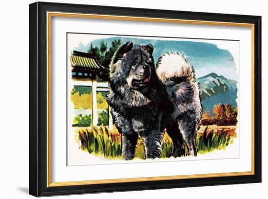 Chow-Chow-English School-Framed Giclee Print